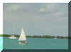 dinghy sailing.jpg (11065 bytes)
